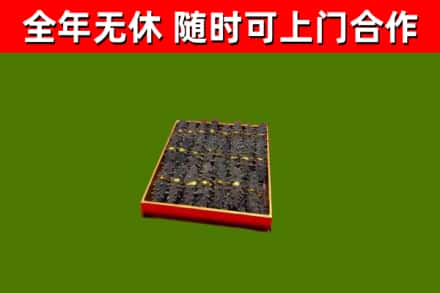 紫云回收海参